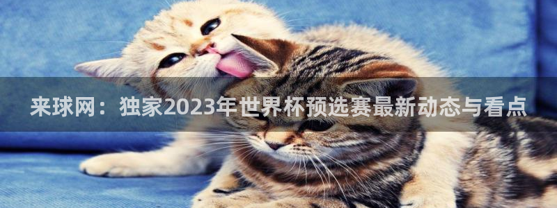 斗球直播app下载官网最新版