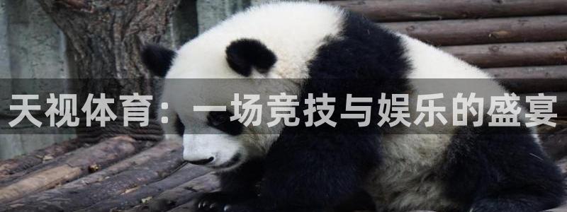 斗球直播下载
