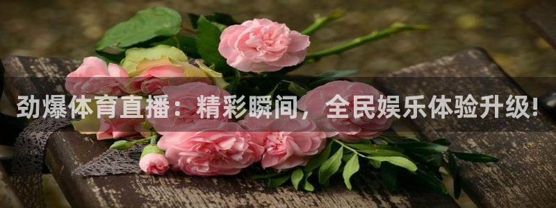 斗球直播app在线观看下载