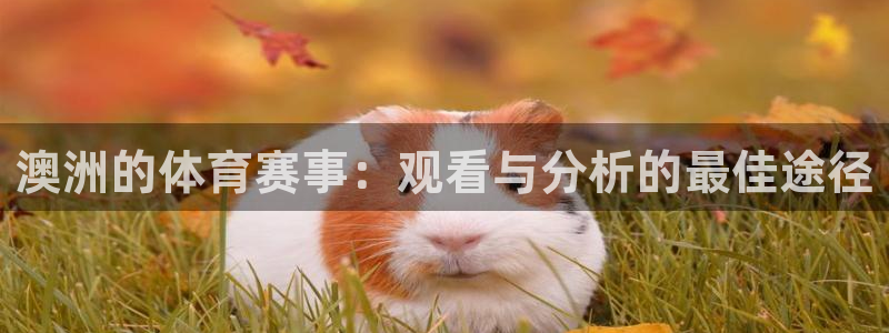 斗球直播app老版下载