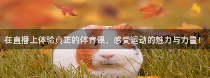 斗球直播篮球回放视频