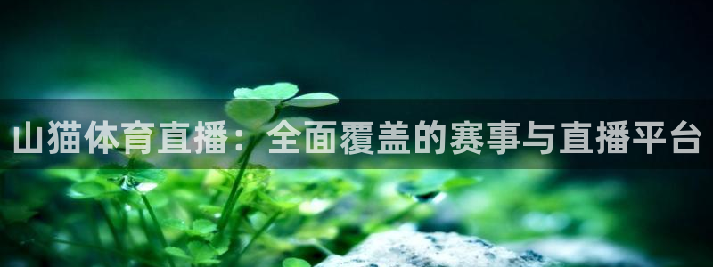 斗球直播世界杯