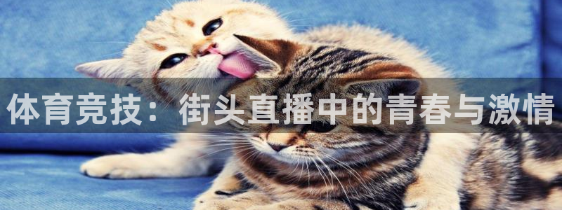 斗球直播在线观看手机版