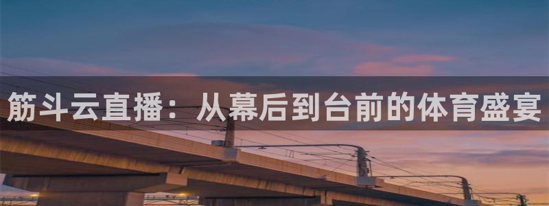 斗球直播官网入口