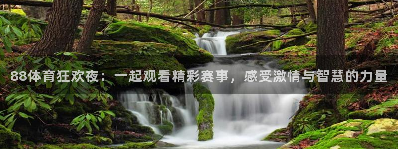 斗球直播在线观看手机版