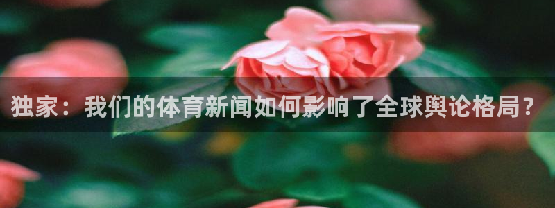 斗球直播官网入口