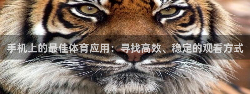 斗球直播吧